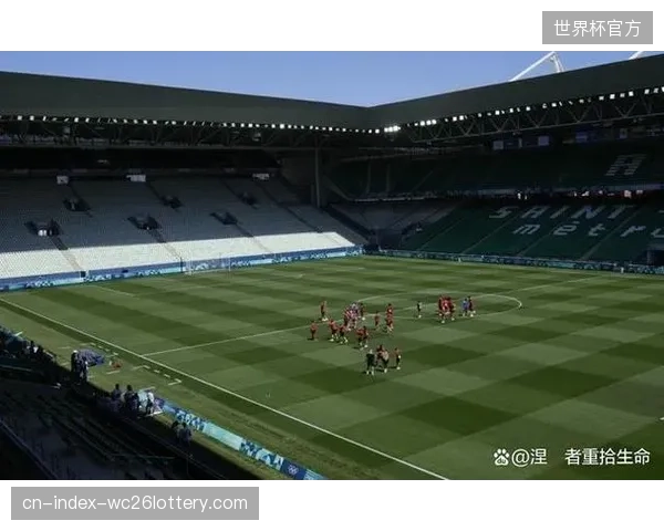 新西兰足协可寻求与FIFA全球赞助商进行区域性合作，提升品牌在北美市场的可见度。